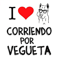 CORRIENDO POR VEGUETA 2019